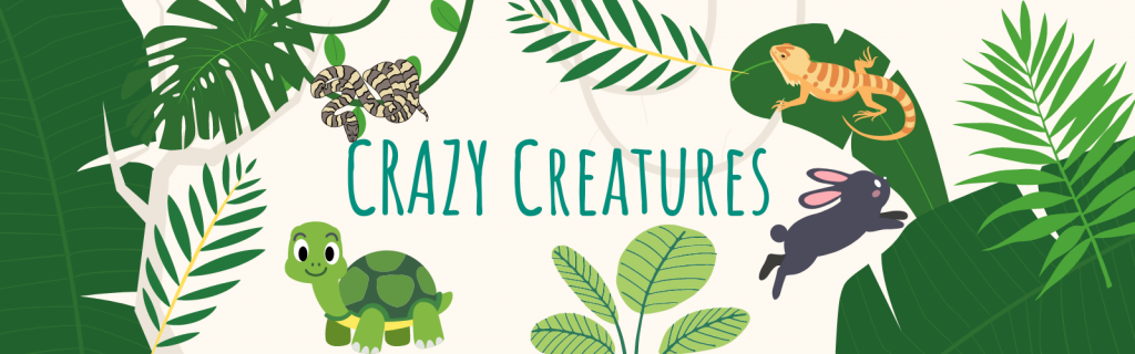 Graphical jungle image of a snake, lizard, rabbit and tortoise with the text "Crazy Creatures"