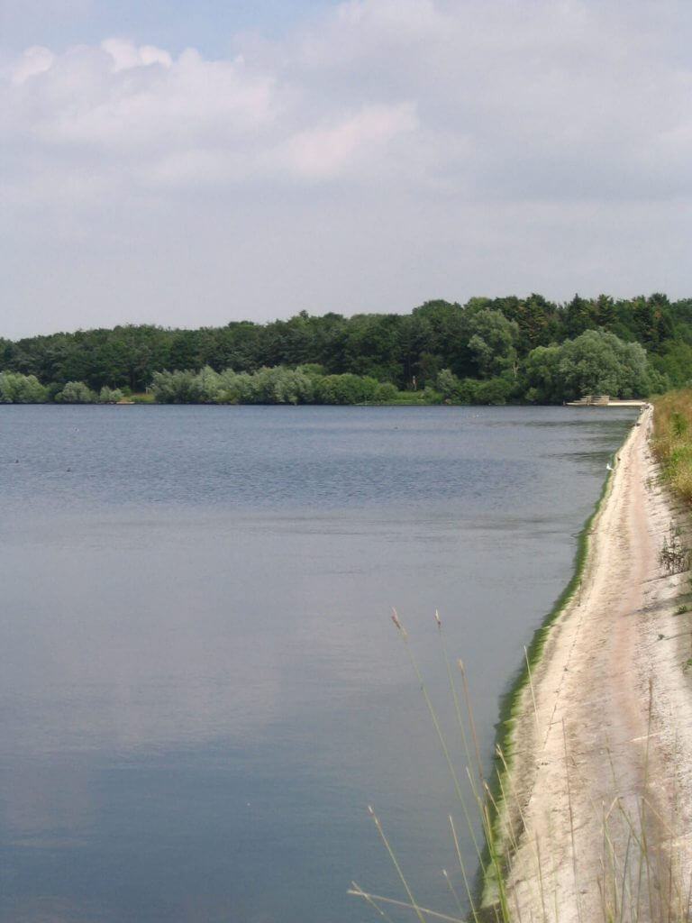 Hanningfield reservoir bank
